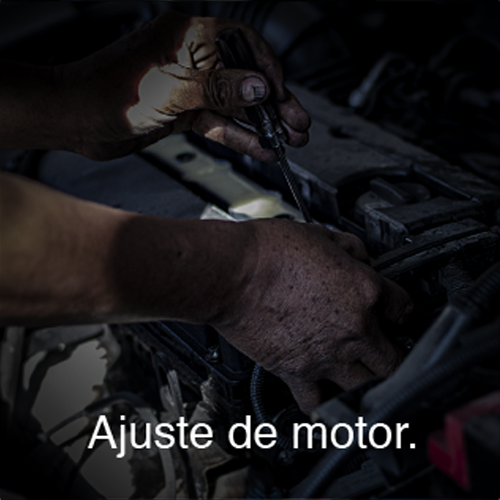 Servicio_mayor